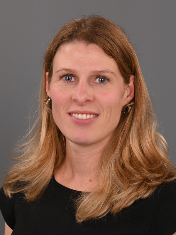 F. Klein